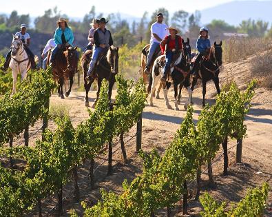 Wine Tasting at Leonesse Winery